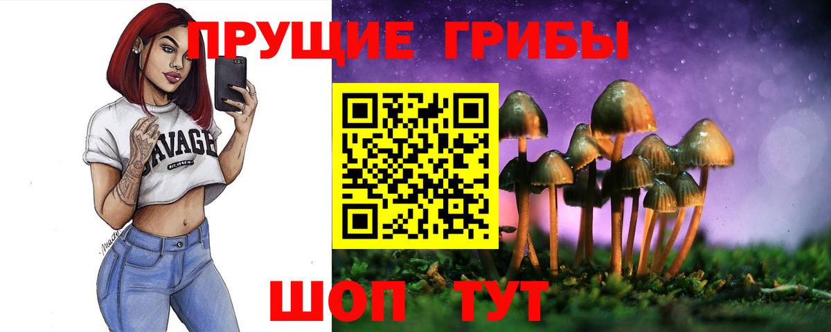 Шарыпово  даркнет сайт  Вход с VPN  Псилоцибиновые грибы GOLDEN TEACHER 